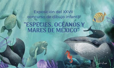 Exposición del XXVII concurso de dibujo infantil “Especies, Océanos y Mares de México”