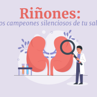 Riñones: los campeones silenciosos de tu salud