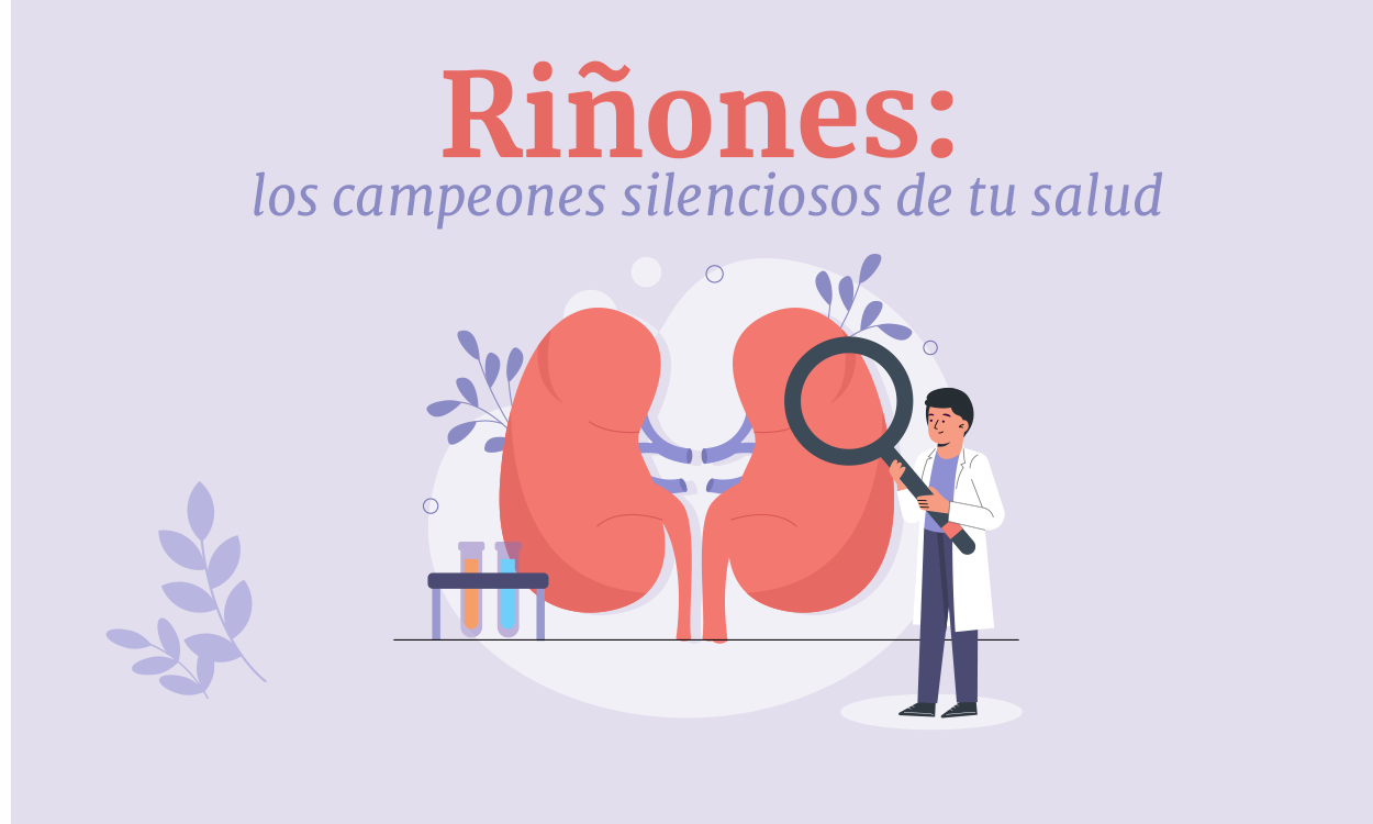 Riñones: los campeones silenciosos de tu salud