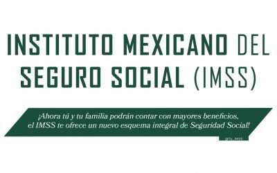 INSTITUTO MEXICANO DEL SEGURO SOCIAL (IMSS)