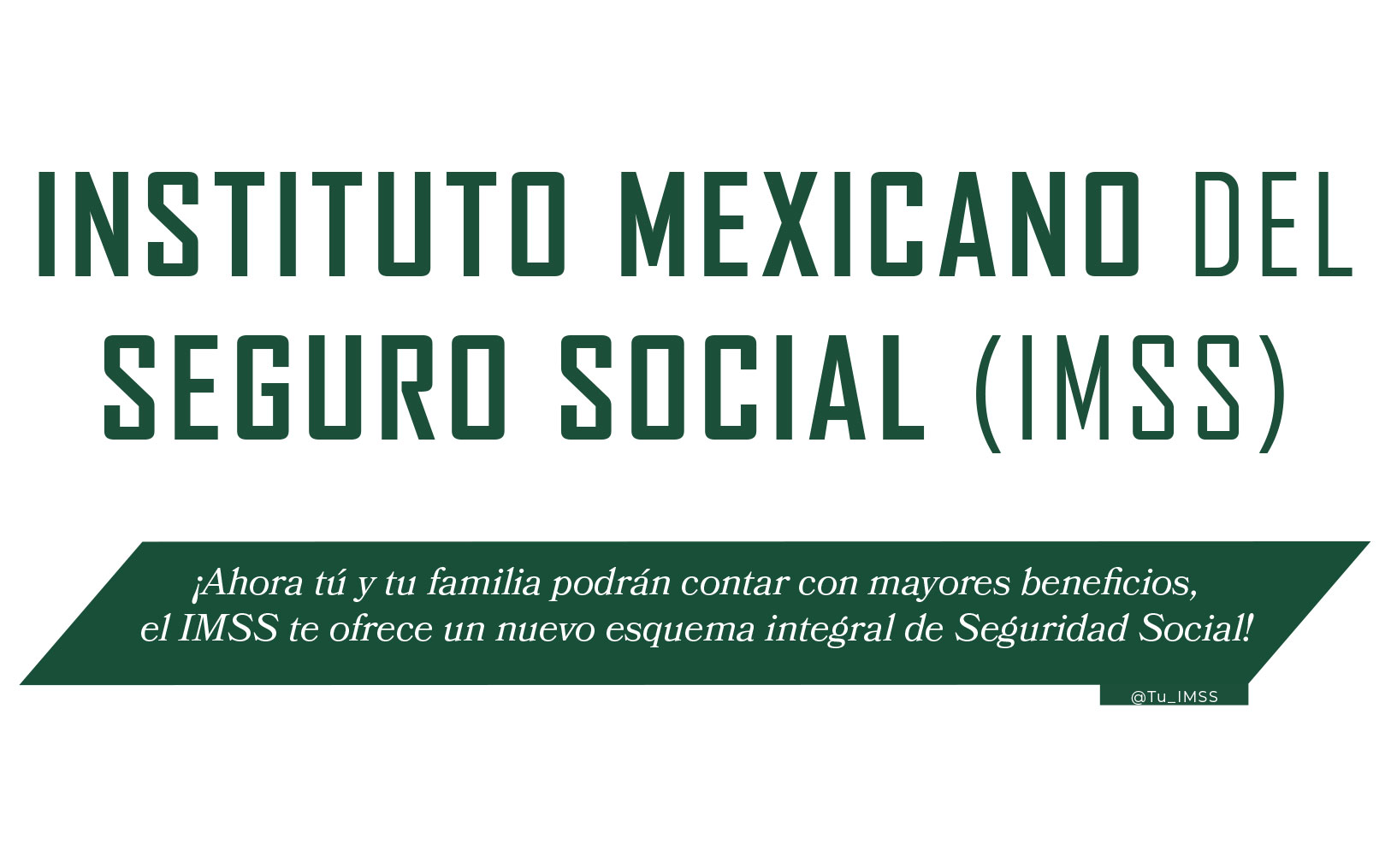 INSTITUTO MEXICANO DEL SEGURO SOCIAL (IMSS)